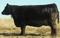 Lot 119--Jauer Anchor 566 0129 flush.jpg