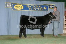 heifer co 2 show stopper 5th- 100.jpg
