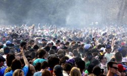 stoners 2.jpg