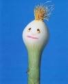 Onion Head.jpg
