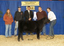 Naile RES Champ Fullblood Female.jpg