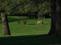 Evening at Oakbar 5-20-09.JPG