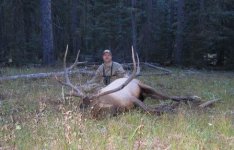 web elk.jpg