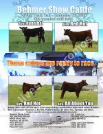 Resized behmer flyer for steer planet 6.jpg