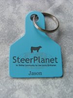 Steerplanet key chain web.jpg