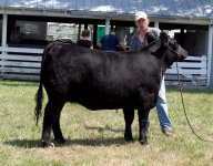 IMG_3995---Grants heifer ---09---.jpg