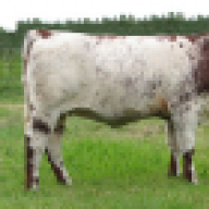 Cowfarmer65