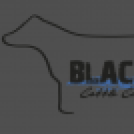 BlackCattleCompany