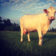 MereCCharolais