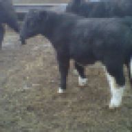 farwest