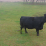 country girl