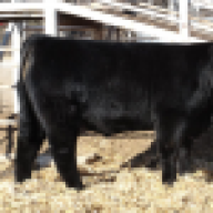 RundelLivestock