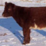 Hofstatter Farms