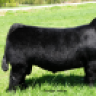 KCC73
