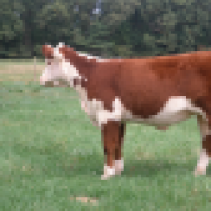 tcgeorge
