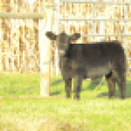 ffarm