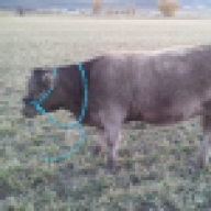 murraygreygirl0205