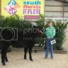 cattle kate cattle