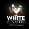 White Rooster