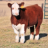 rmbcows