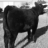 RochholzFarms