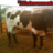 r4ranch