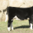 Martinvale Farms