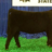 jfarms