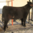 MYT Farms