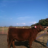 tuckerlandcattle